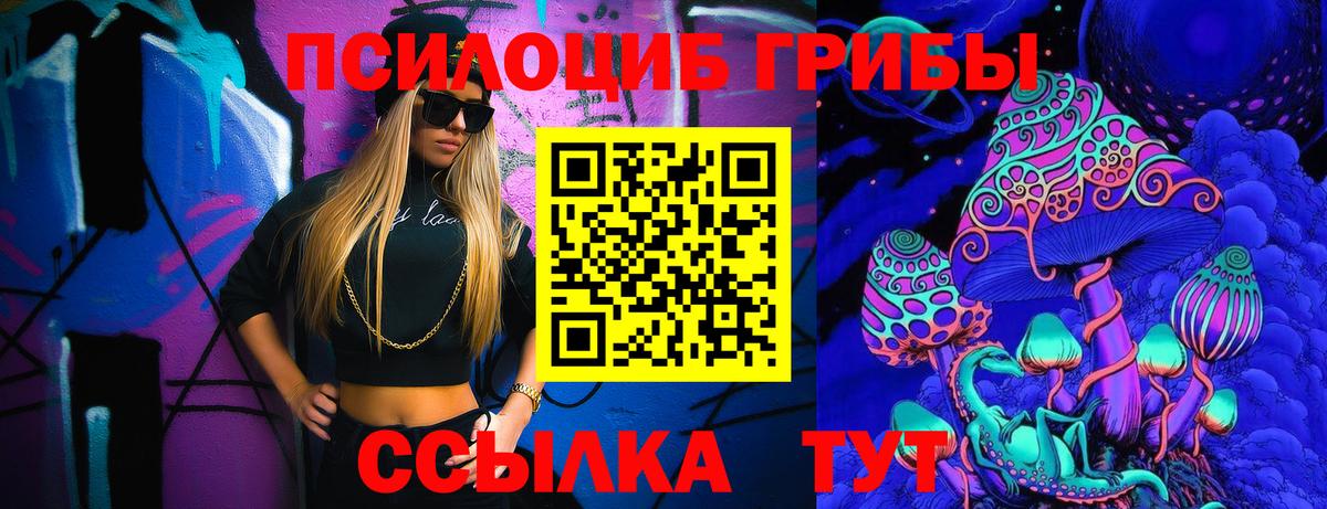 Ейск  Псилоцибиновые грибы Psilocybe  Вход с VPN 