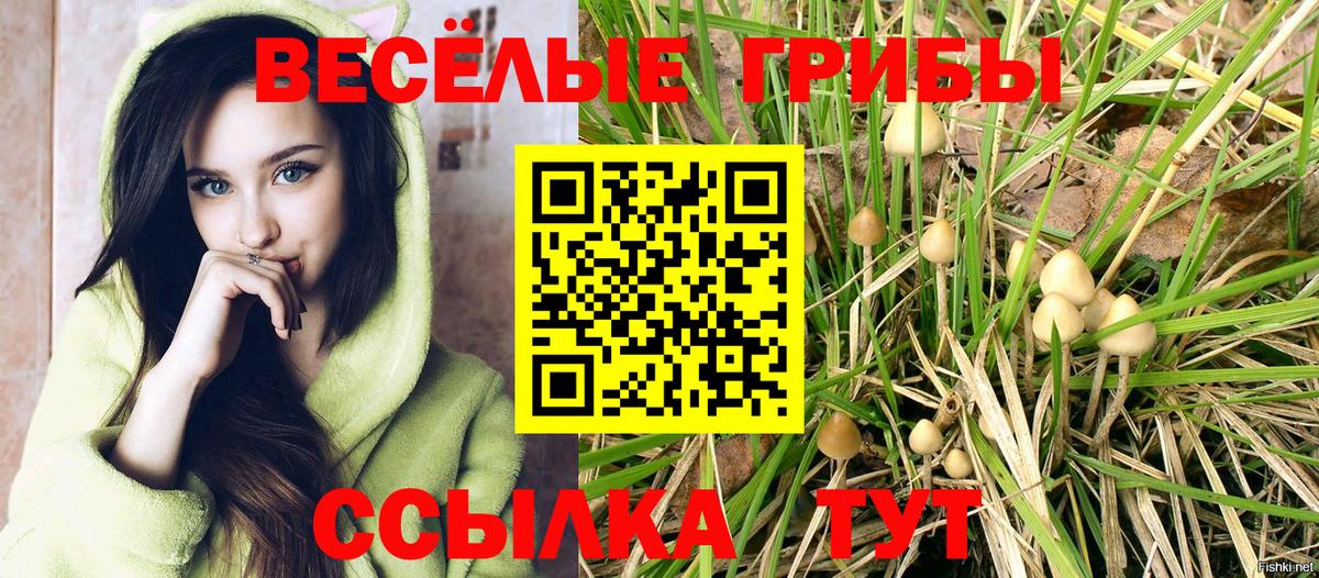 Псилоцибиновые грибы Psilocybine cubensis Ейск
